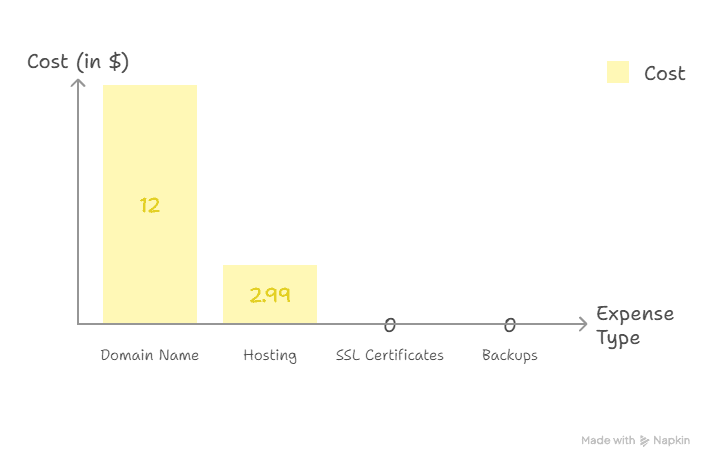 Bar chart showing website expenses: Domain Name costs $12, Hosting costs $2.99, with beginner blogging tips noting SSL Certificates and Backups have no cost. Each expense type is highlighted in yellow.